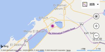 亚历山大国际机场