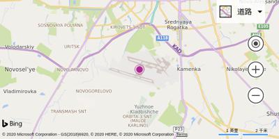 圣彼得堡普尔科夫机场