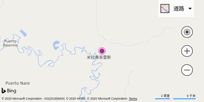 米拉弗洛雷斯机场