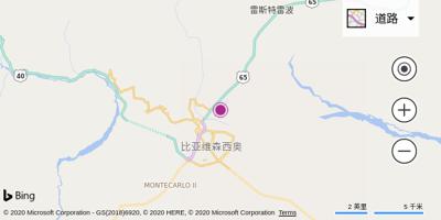 比亚维森西奥机场