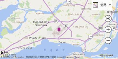 蒙特利尔皮埃尔·埃利奥特·特鲁多国际机场