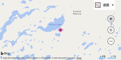 皮克尔莱克机场