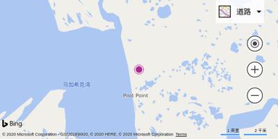 派勒特波因特机场