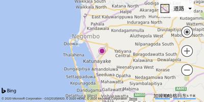 班达拉奈克国际机场