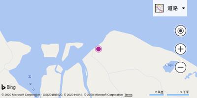 佩德纳莱斯机场